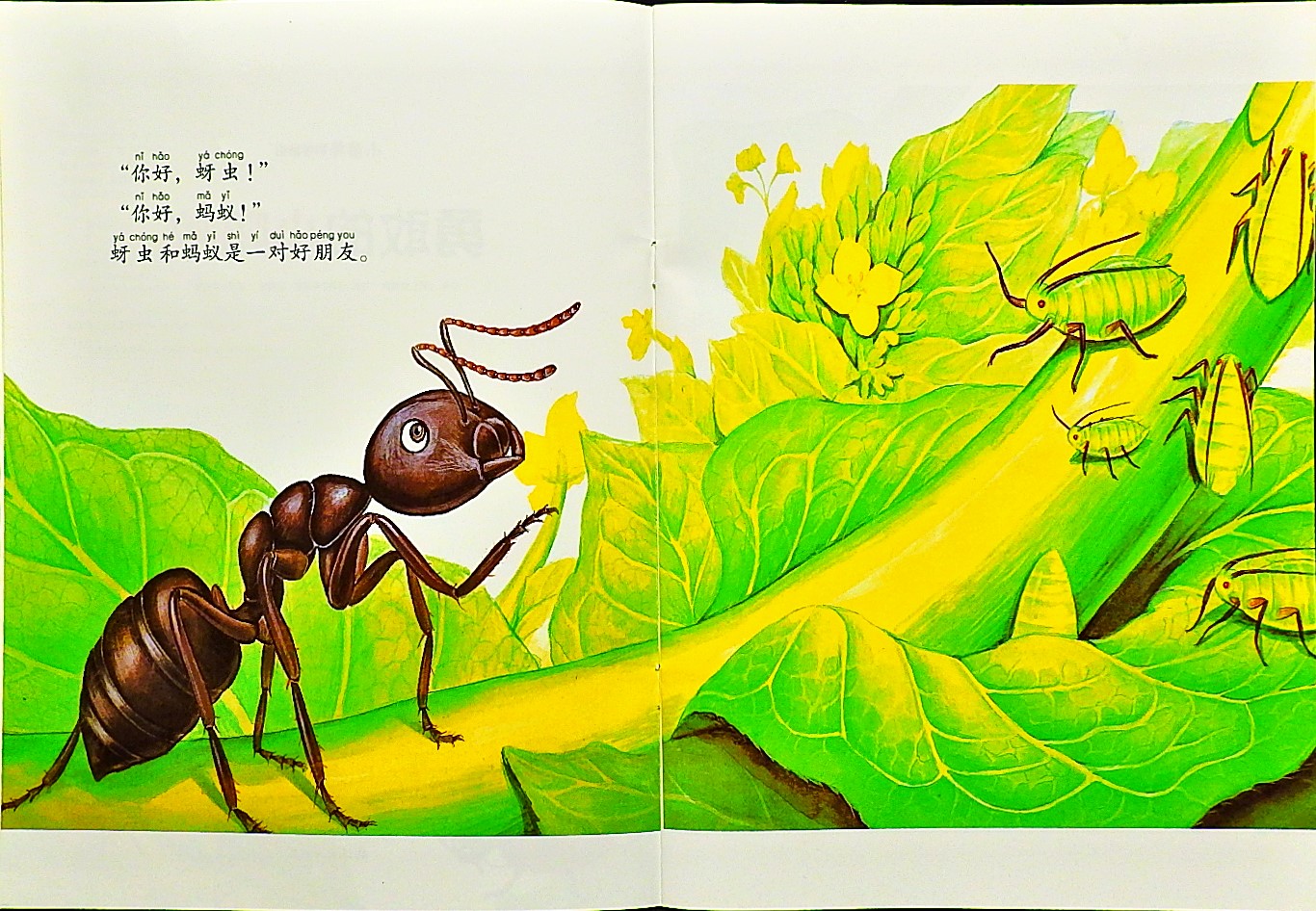 勇敢的小蚂蚁 (04),绘本,绘本故事,绘本阅读,故事书,童书,图画书,课外阅读